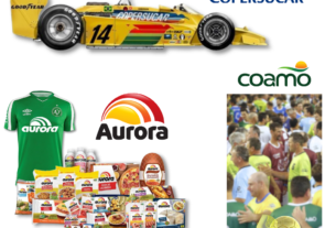 Agro e Marketing – Parte III – Agrovarejo